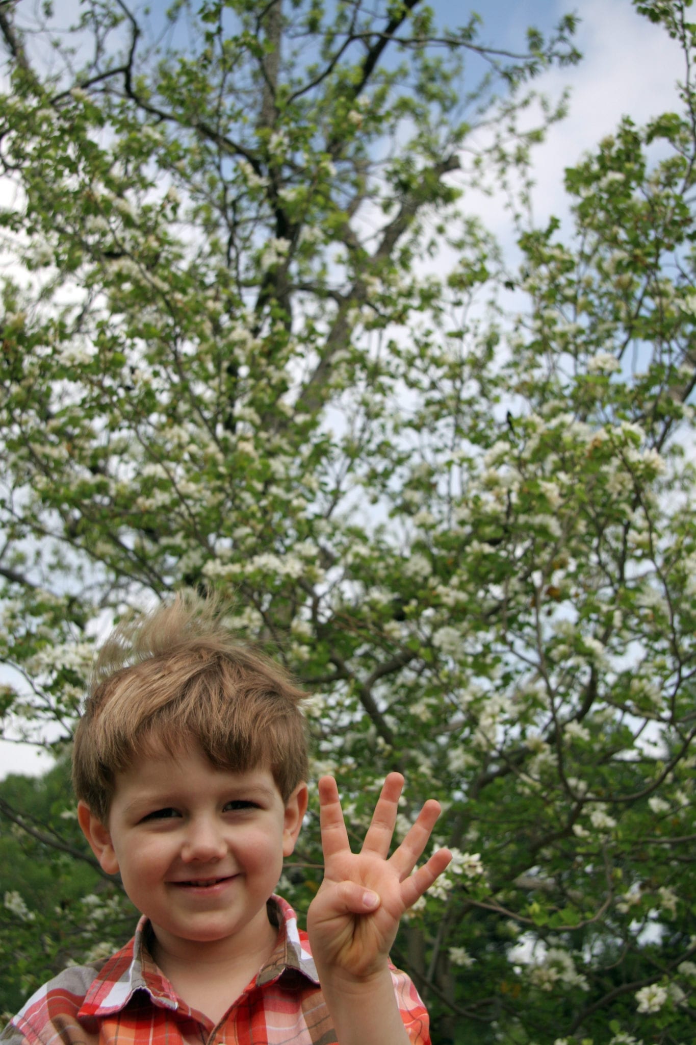 Truman – child portrait session