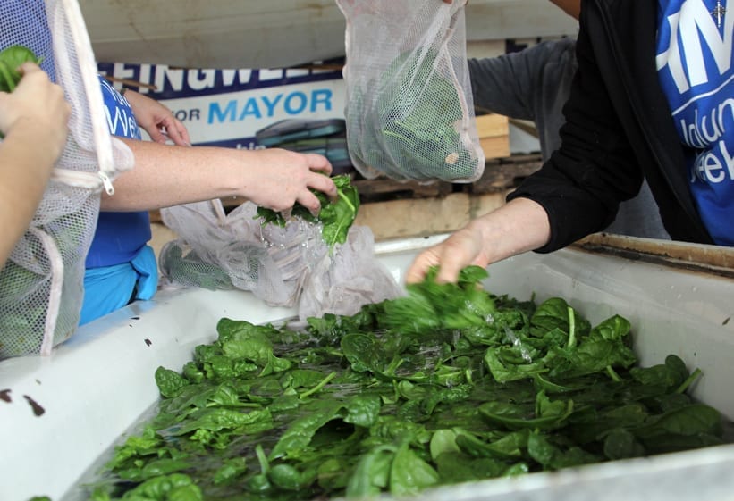 Urban Roots