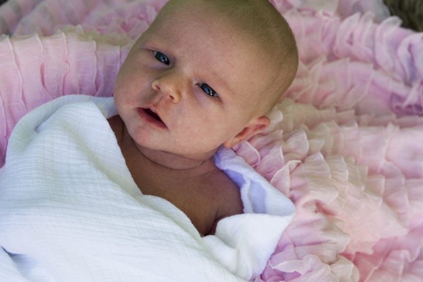 Ainsley & Family – Newborn Portrait Session