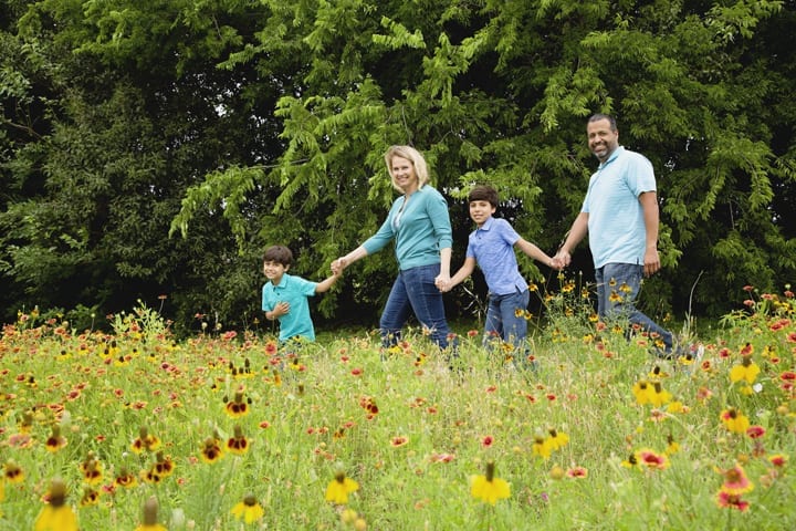 wildflower photo session