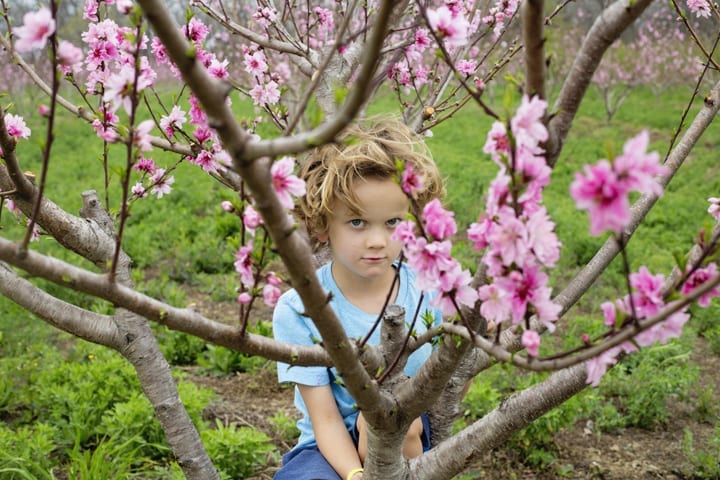 Sweet Eats Fruit Farm – Location Scouting