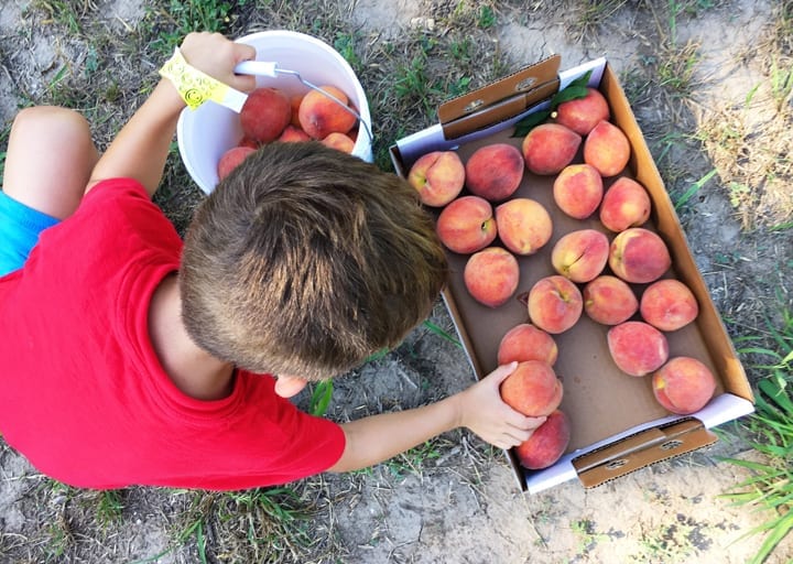 Sweet Eats Farm – Location Scouting