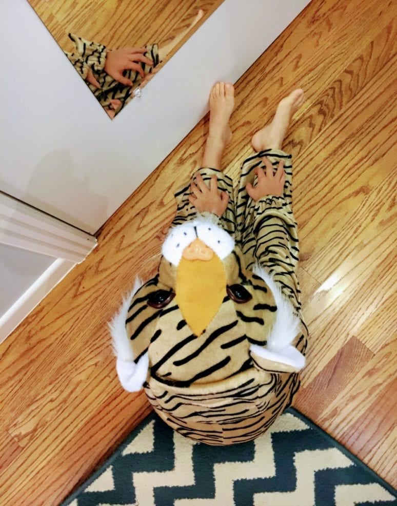 Halloween tiger costume