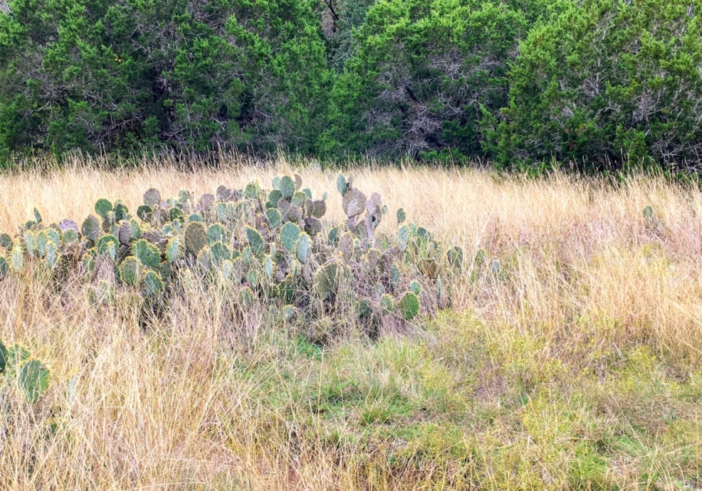 St. Edwards Park Austin, Texas