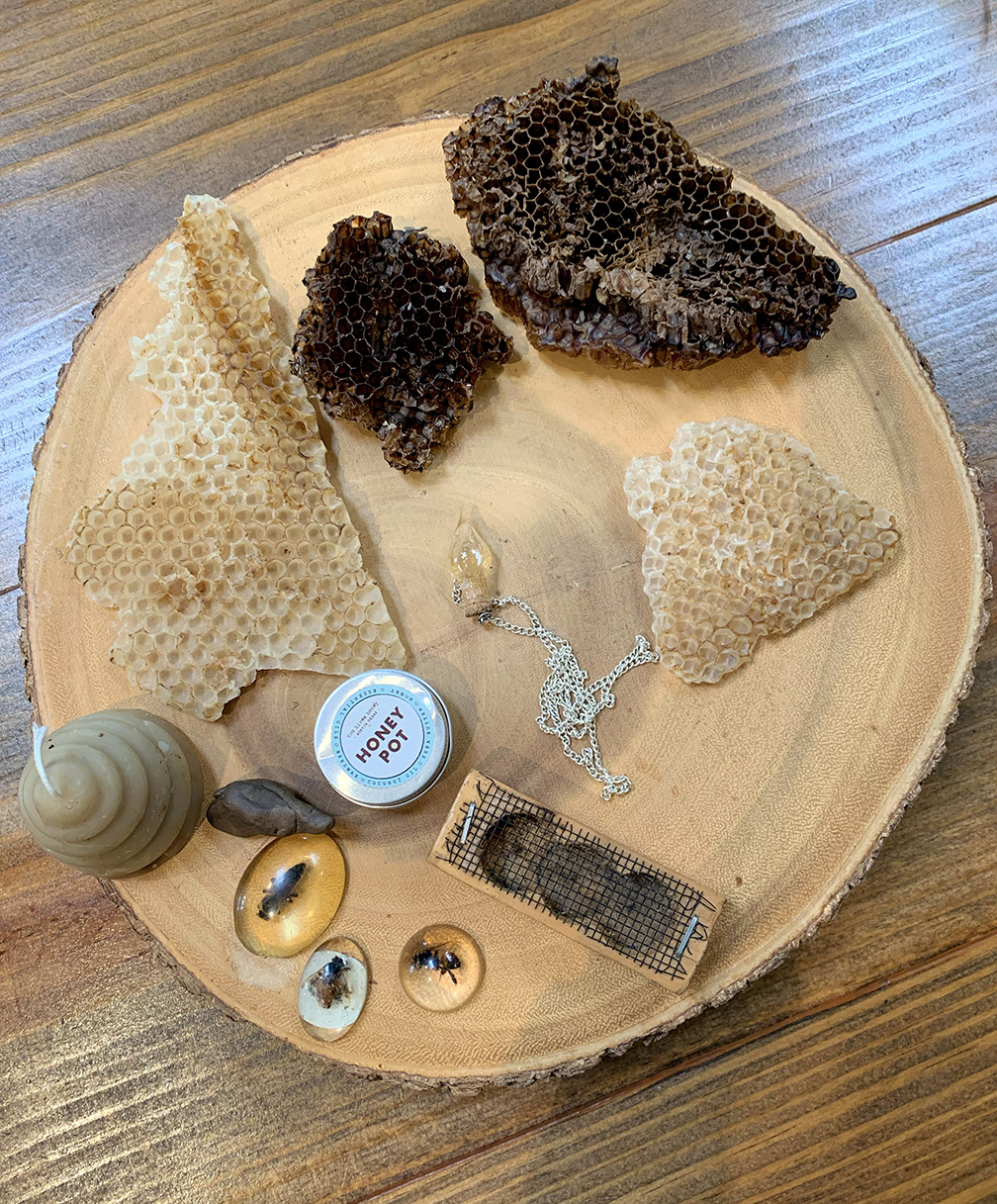 bee tour demonstration items like honeycomb and bees