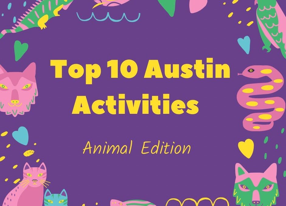 Top 10 Austin Activities Animal Edition artwork