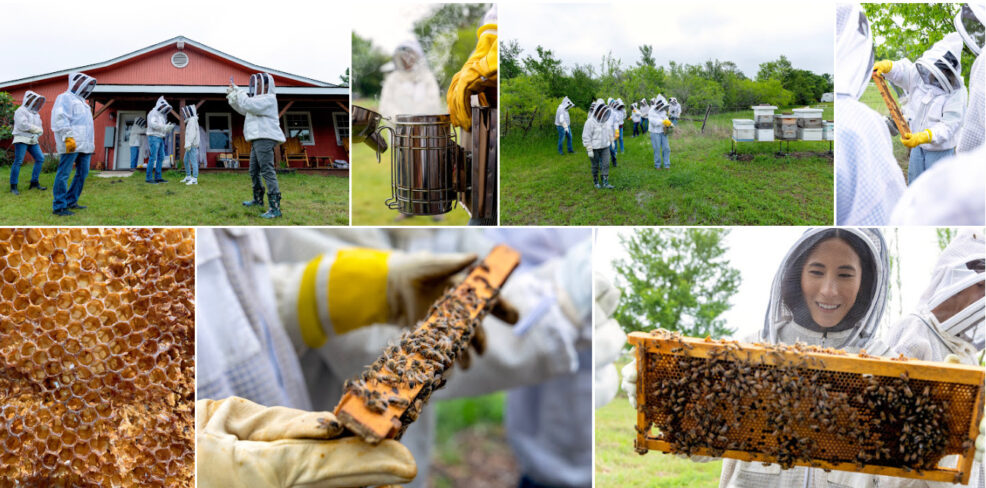 two hives honey branding photo session