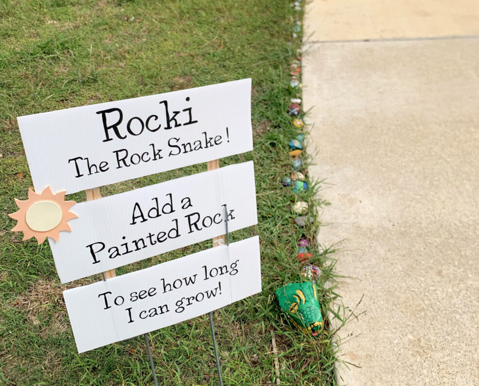 rocki the painted rock snake in leander texas