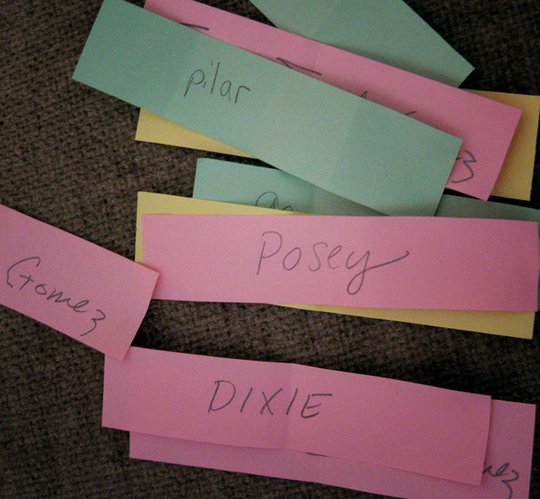 guessing baby names at baby shower