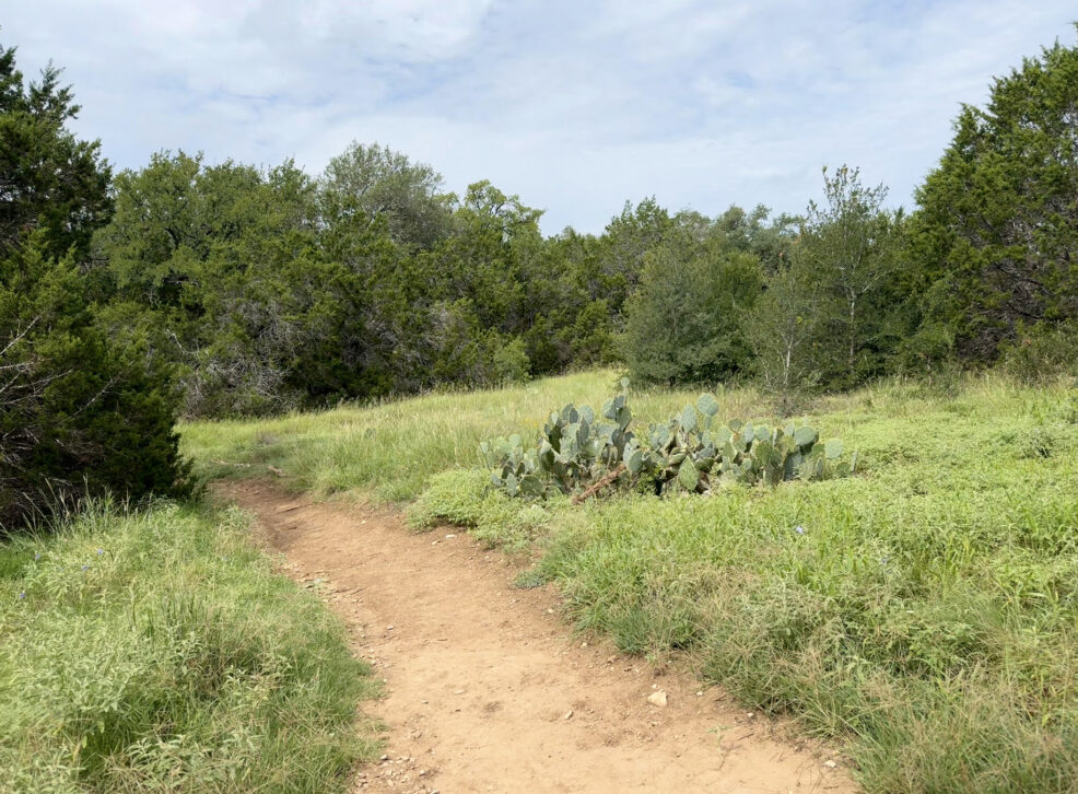 st. edwards greenbelt park in north austin