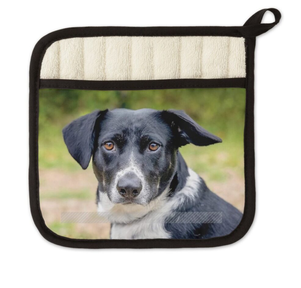 custom photo gift potholder