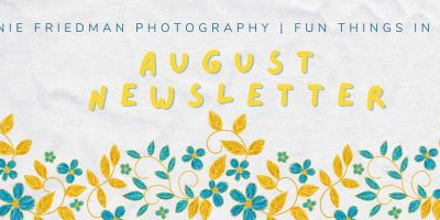 Fun Things to do in Austin – August 2026