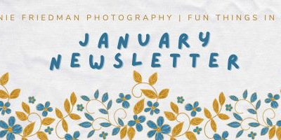 Fun Things to do in Austin – January 2026