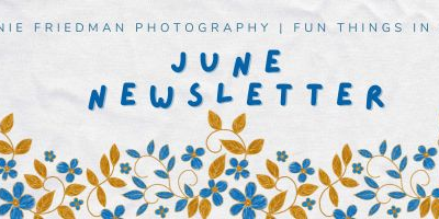 Fun Things to do in Austin – June 2026