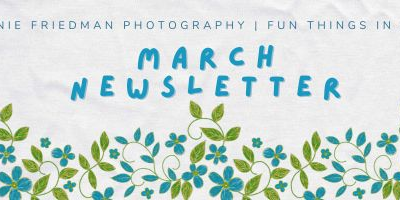 Fun Things to do in Austin – March 2026