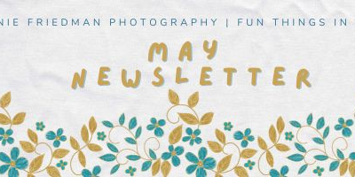 Fun Things to do in Austin – May 2026