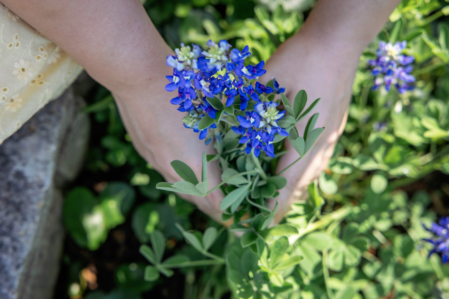 thm_march-2026-rf-senior-photos-zilker-botanical-gardens-119