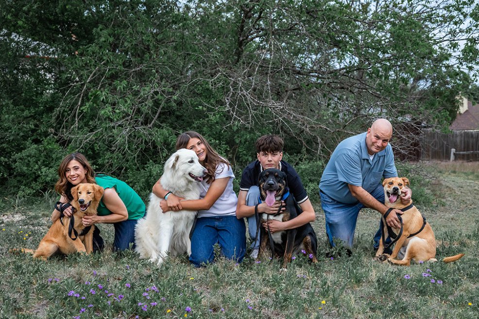 family photos with four dogs at pfluger park in texas by stephanie friedman photography