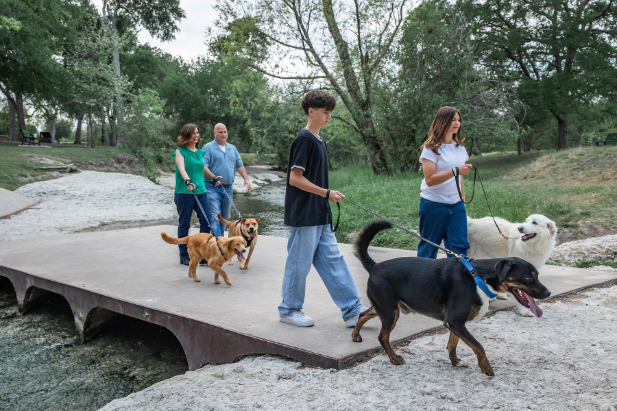 thm_march-2026-sr-family-photos-pfluger-park-137.webp