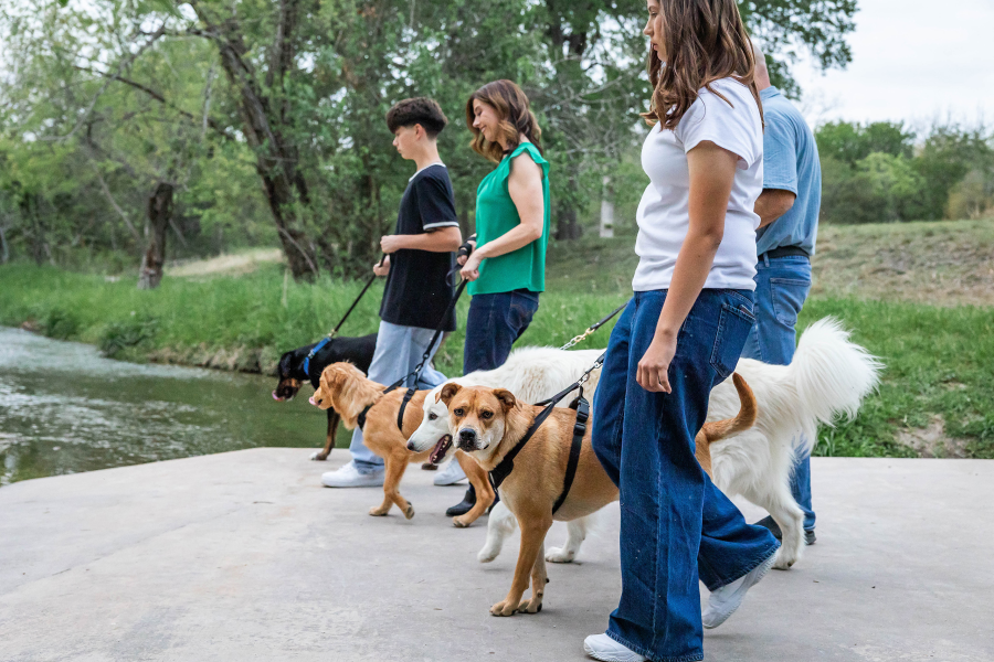 thm_march-2026-sr-family-photos-pfluger-park-165.webp