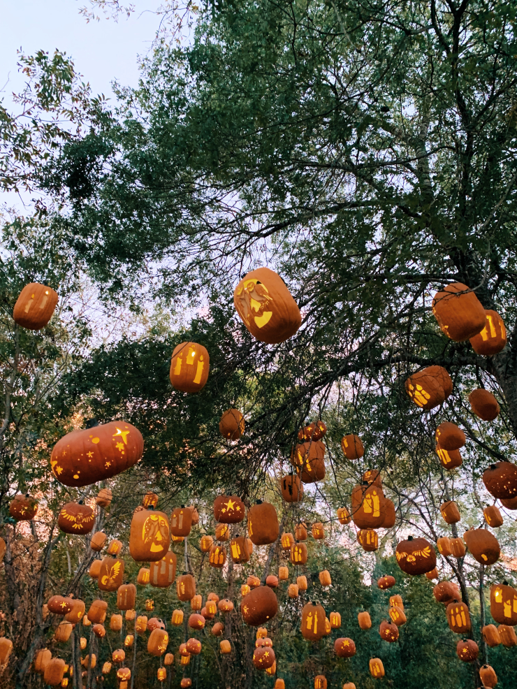 pumpkin nights at pioneer farms